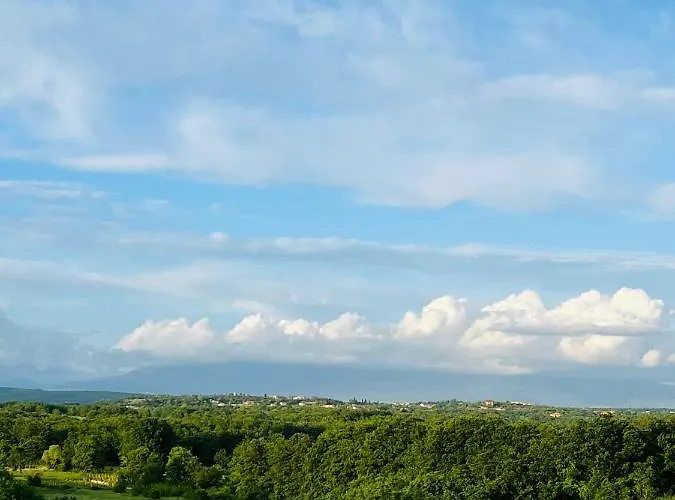 Szálloda Olea Vitis